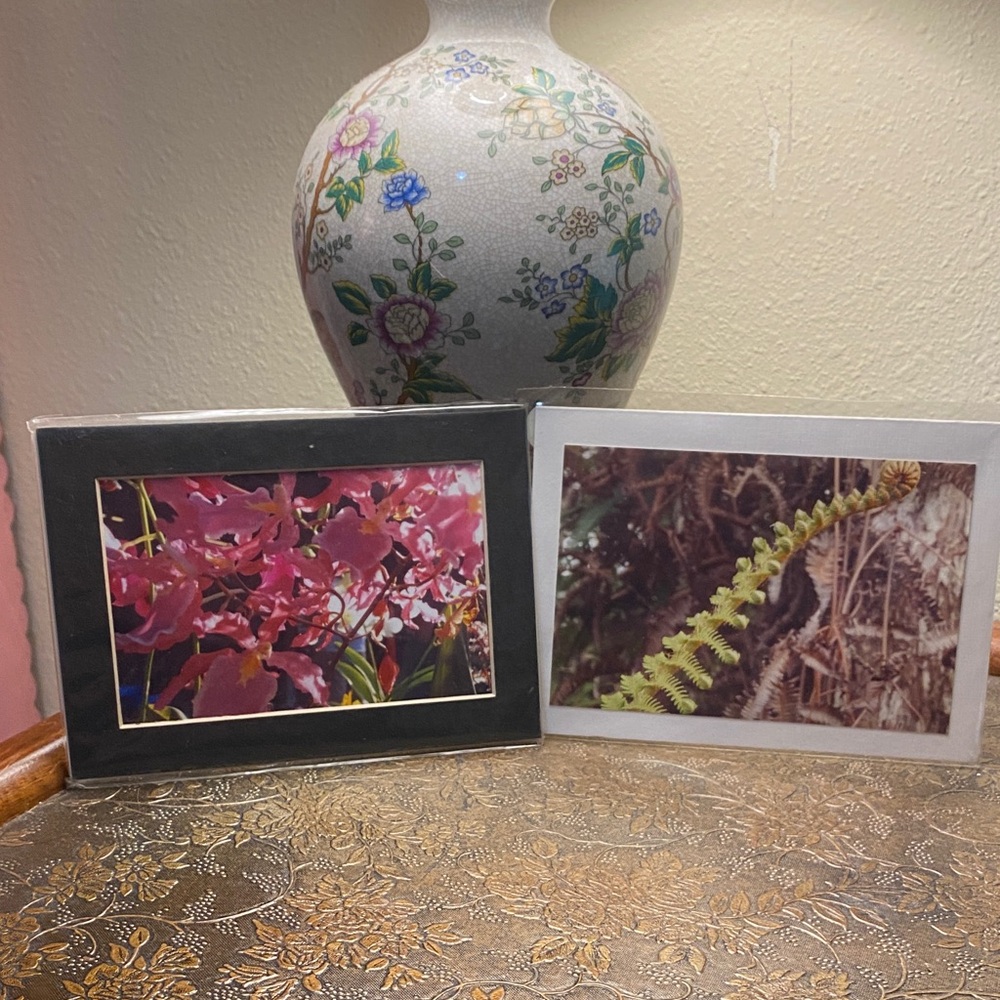 NWT Floral and Nature Art Prints of Hawaii